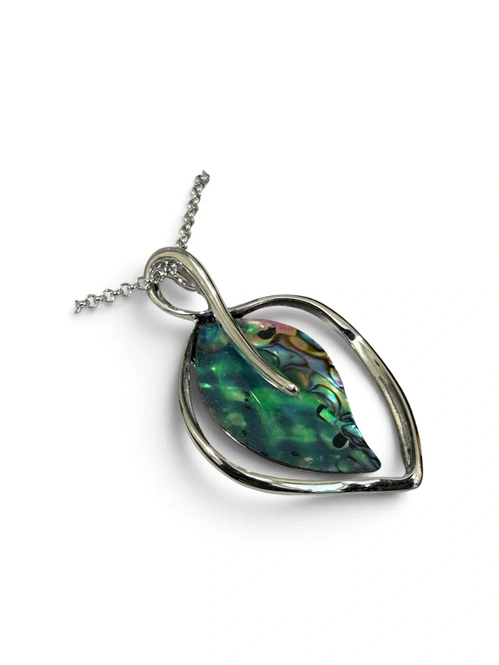 Glacier elegant abalone